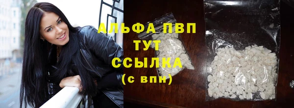 крисы Абаза