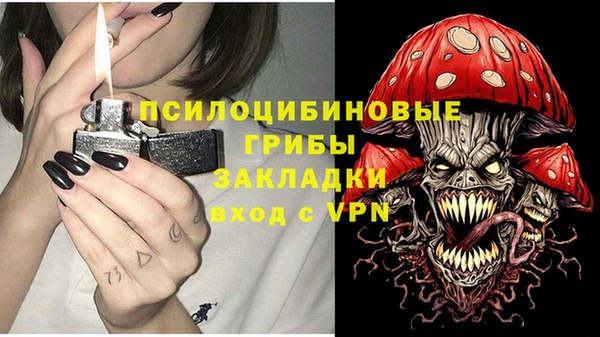 мет Ладушкин