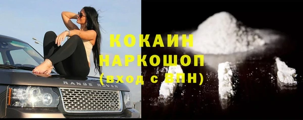 крисы Абаза