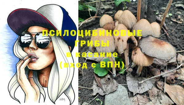 дмт Абинск