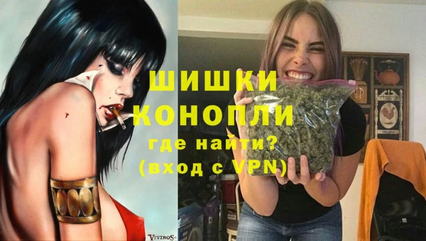 мет Ладушкин