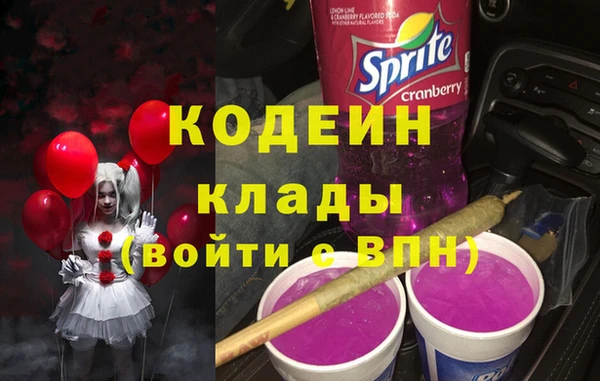 крисы Абаза