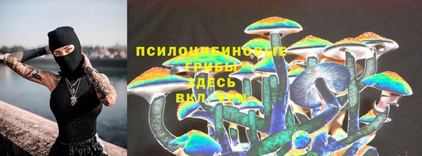 Альфа ПВП Алексеевка
