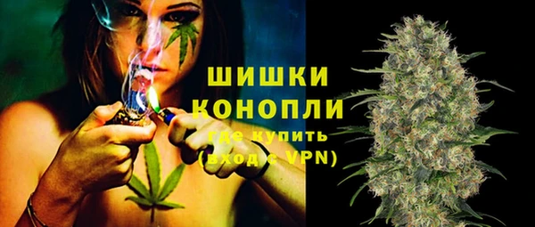 крисы Абаза